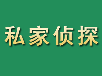 浪卡子市私家正规侦探